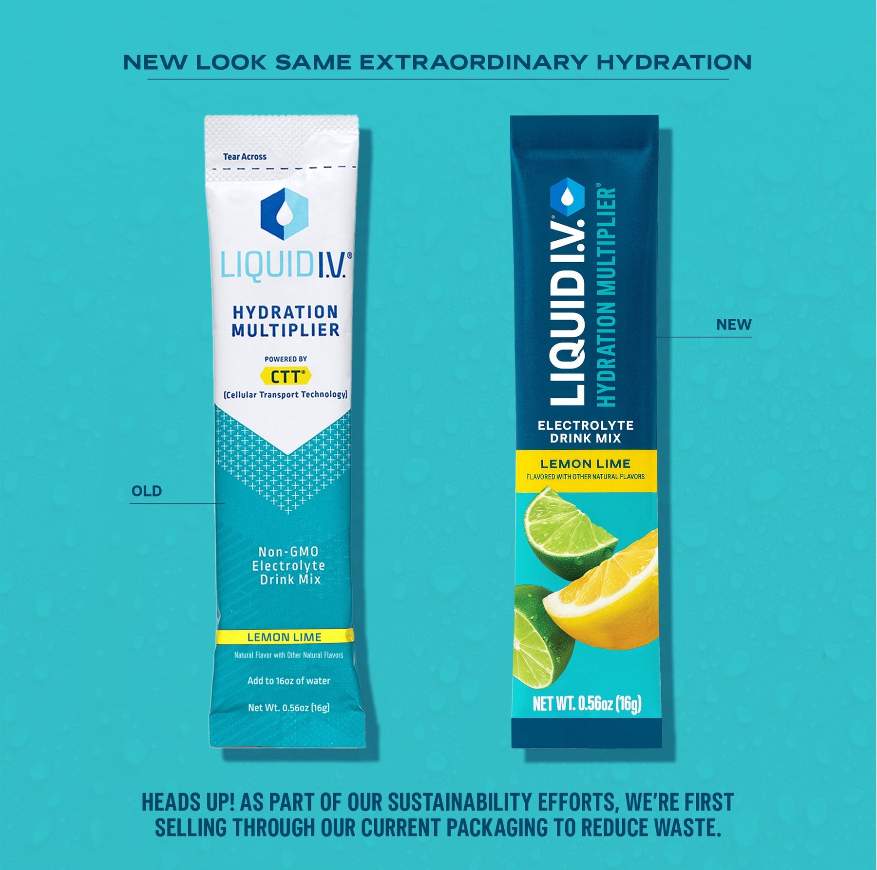 Everyone's Favorite Bundle - Lite Daily Ready Choice