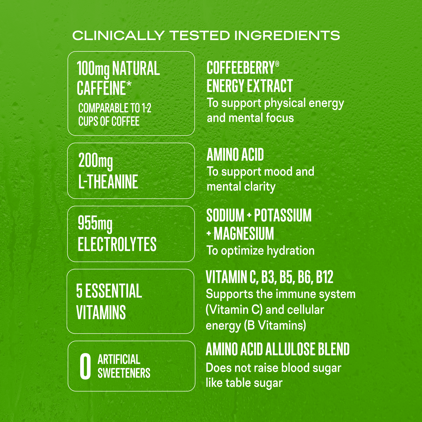 Sugar-Free Energy Fruity Bundle - Premium Fresh Fit Pack